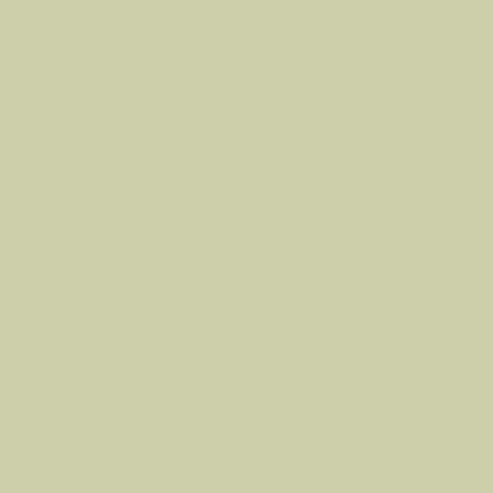 Краска Little Greene цвет NCS S 1515-G60Y
