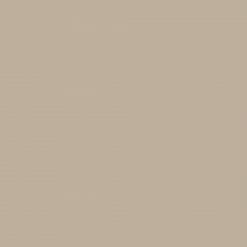Краска Charmant цвет Chocolate Cream NC13-0120 Sommet 0.9 л