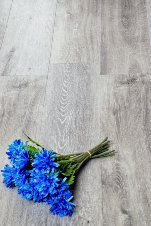 SPC ламинат Alpine Floor Classic ECO 134-5 Ясень Серый фото 2