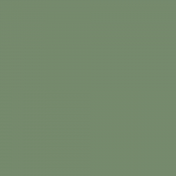 Краска Charmant цвет Emerald NC37-0838 Sommet 0.9 л