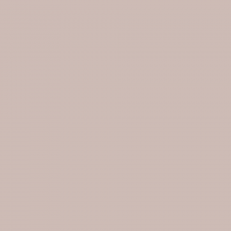 Краска Hygge цвет Coconut Macaroon HG03-084 Fleurs 0.4 л