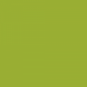 Краска Argile цвет Wasabi V12 Mat Veloute 0.125 л