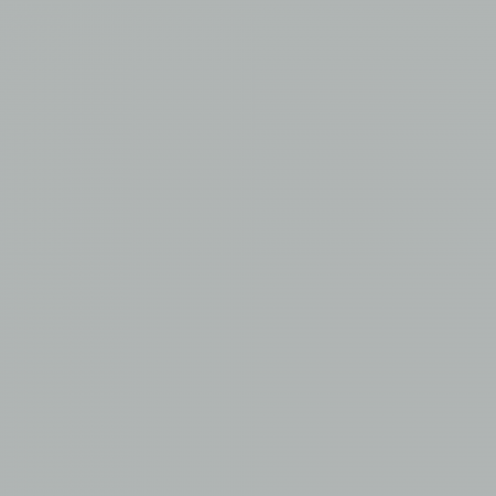 Краска Charmant цвет Silver Web NC40-0919 Sommet 0.9 л