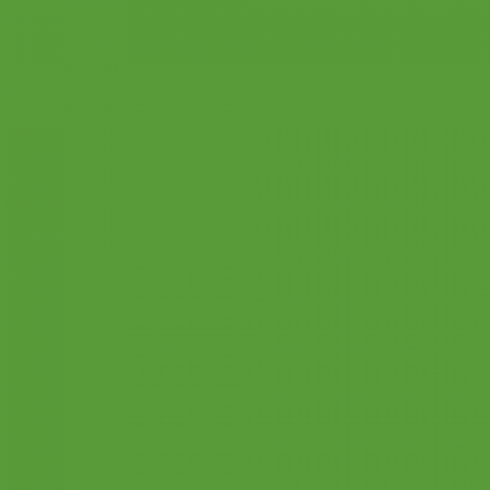 Краска Little Greene цвет Yellow green RAL 6018