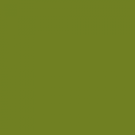 Краска Little Greene цвет NCS S 3560-G50Y