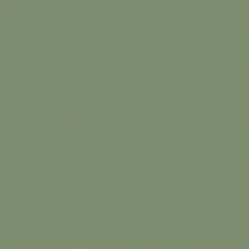 Краска Charmant цвет Green Grass NC37-0828 Sommet 0.9 л