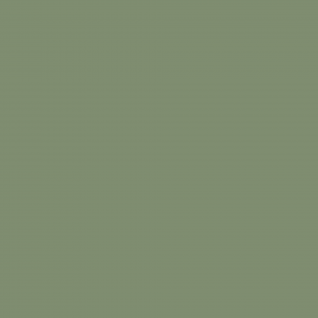 Краска Charmant цвет Green Grass NC37-0828 Sommet 0.9 л