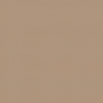 Краска Charmant цвет Pine Nut NC19-0298 Sommet 0.9 л