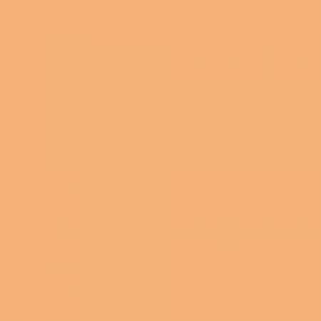 Краска Little Greene цвет Conche 20