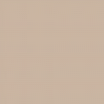 Краска Charmant цвет Creamy Coffee NC23-0415 Sommet 0.9 л