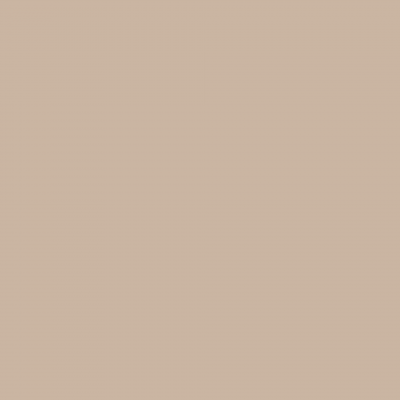 Краска Charmant цвет Creamy Coffee NC23-0415 Sommet 0.9 л