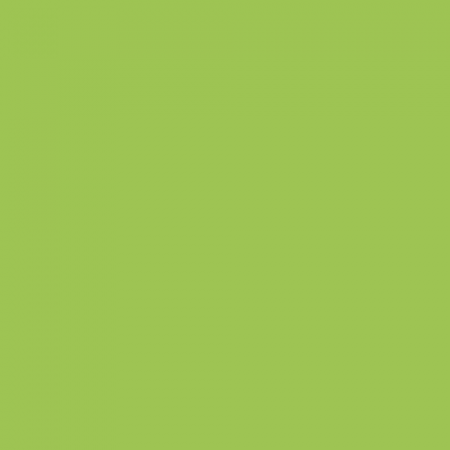 Краска Little Greene цвет NCS S 1060-G40Y