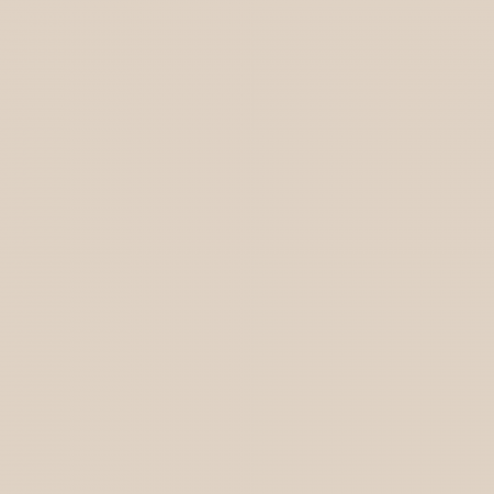 Краска Charmant цвет Sandstorm NC13-0103 Sommet 0.9 л