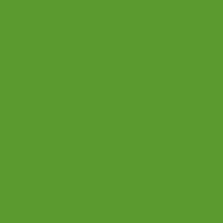 Краска Little Greene цвет NCS S 2070-G30Y
