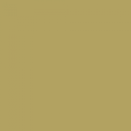 Краска Little Greene цвет NCS S 3030-G90Y