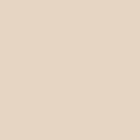 Краска Swiss Lake цвет True Beige SL-0170