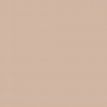 Краска Charmant цвет Cacao Foam NC19-0297 Sommet 0.9 л