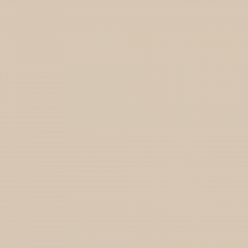 Краска Charmant цвет Desert Camel NC10-0024 Sommet 0.9 л