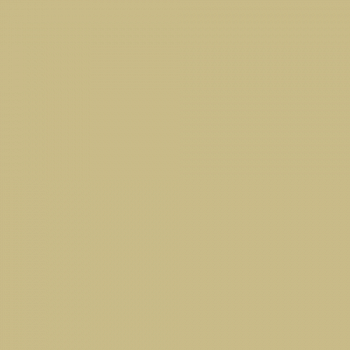 Краска Charmant цвет RAL Green beige 1000 Sommet 0.9 л