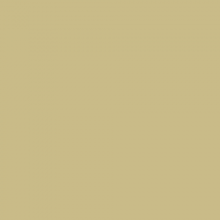 Краска Charmant цвет RAL Green beige 1000 Sommet 0.9 л