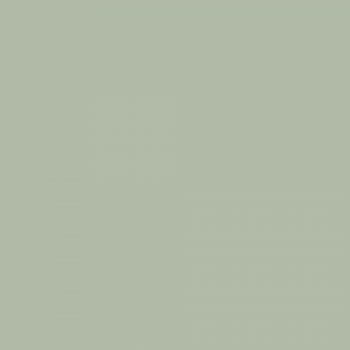 Краска Charmant цвет Green Quartz NC36-0788 Sommet 0.9 л