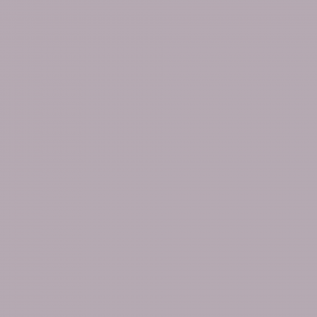 Краска Charmant цвет Ash Orchid NC32-0681 Sommet 0.9 л