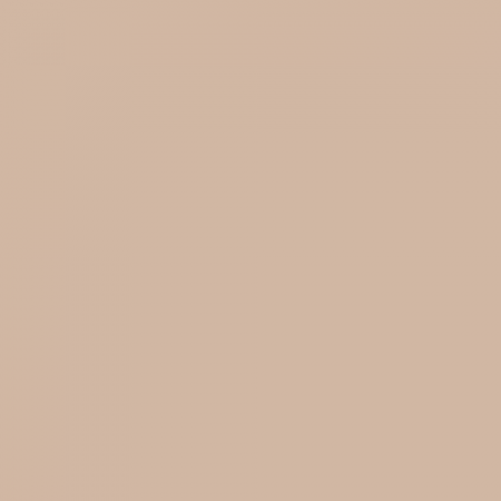 Краска Swiss Lake цвет Cacao Foam NC19-0297