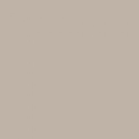 Краска Swiss Lake цвет Ground Pepper NC19-0288