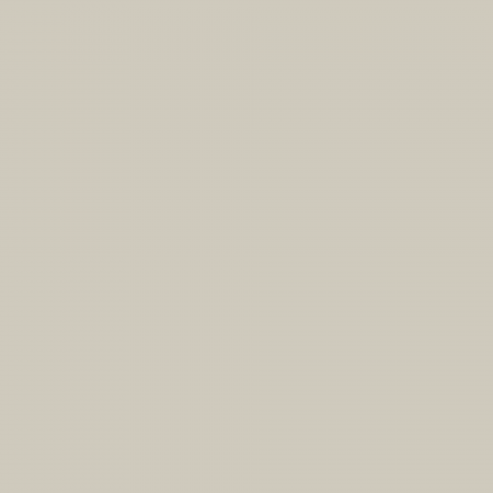 Краска Charmant цвет Ash Grey NC17-0221 Sommet 0.9 л