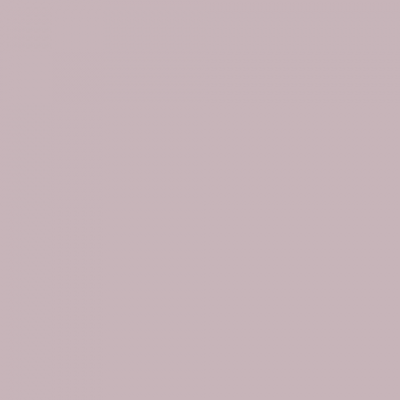 Краска Little Greene цвет NCS S 2010-R20B