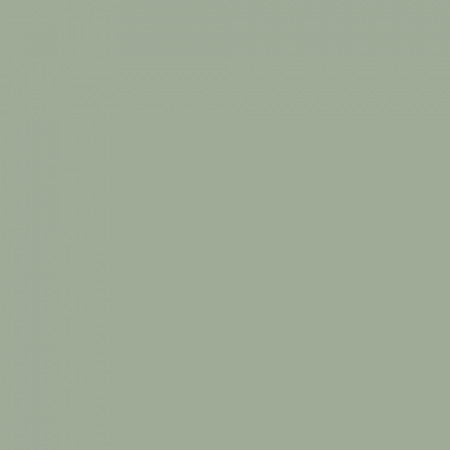 Краска Swiss Lake цвет Green Jasper NC36-0787
