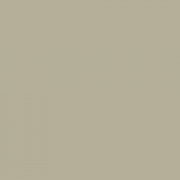 Краска Charmant цвет Olive Mist NC38-0870 Sommet 0.9 л