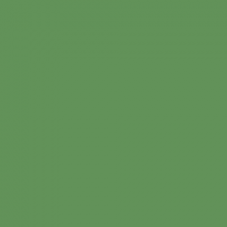Краска Swiss Lake цвет Magnolia Green SL-2503