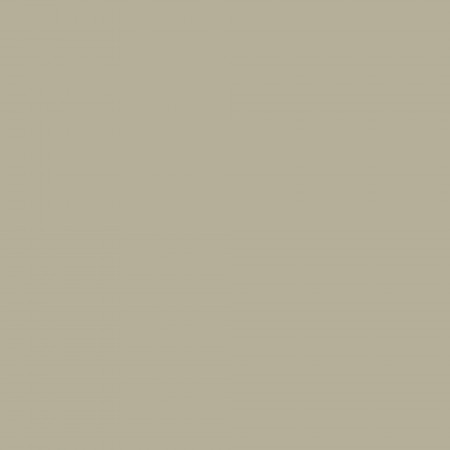 Краска Charmant цвет Olive Mist NC38-0870 Sommet 0.9 л