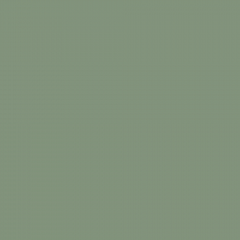Краска Charmant цвет Forest Green NC37-0836 Sommet 0.9 л