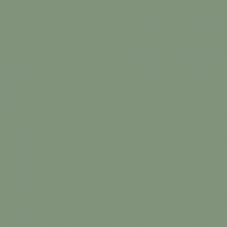 Краска Charmant цвет Forest Green NC37-0836 Sommet 0.9 л