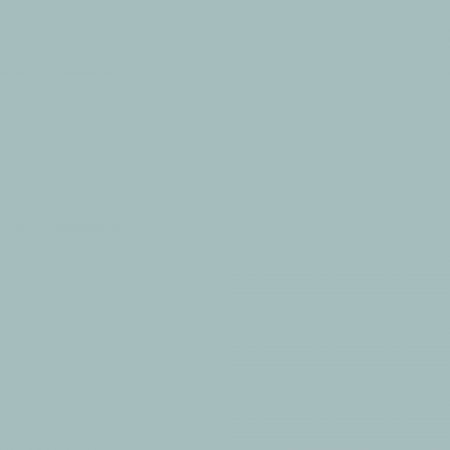 Краска Charmant цвет Storm Blue NC27-0511 Sommet 0.9 л