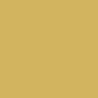 Краска Swiss Lake цвет NCS S 2040-Y