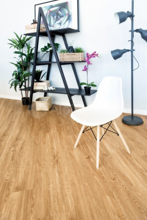 SPC ламинат Alpine Floor Sequoia ECO 6-4 Секвойя Royal фото 2