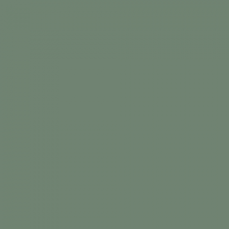 Краска Swiss Lake цвет Light Emerald NC36-0802