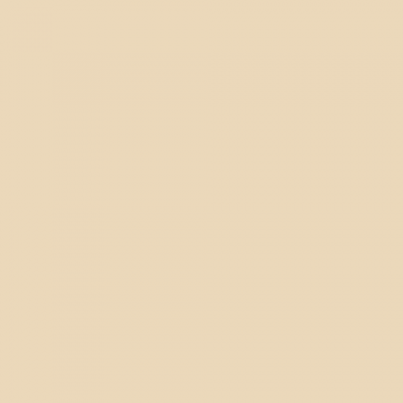 Краска Swiss Lake цвет Natural Beige SL-0928