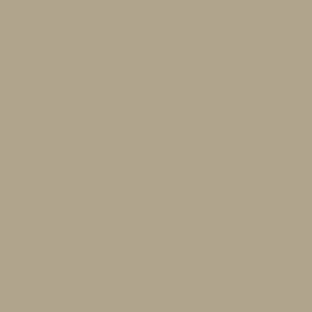 Краска Charmant цвет Beige Camouflage NC38-0868 Sommet 0.9 л