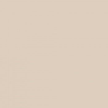 Краска Hygge цвет Stucco Tan HG02-043 Fleurs 0.4 л