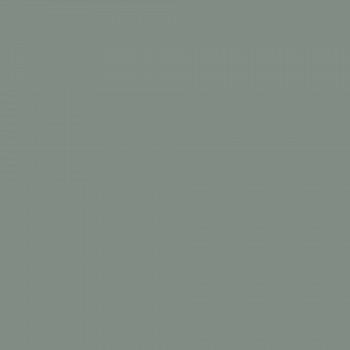 Краска Charmant цвет Spruce Bouquet NC35-0778 Sommet 0.9 л