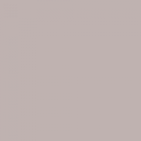 Краска Swiss Lake цвет Spiced Vinegar SL-0500