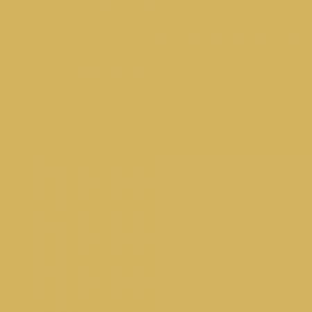 Краска Little Greene цвет NCS S 2040-Y