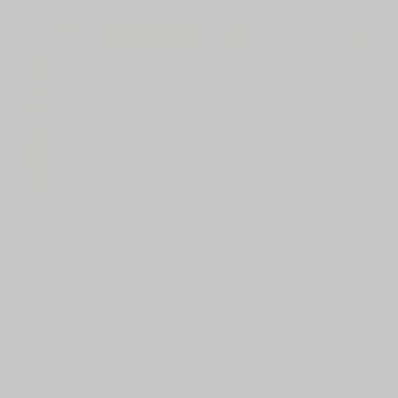 Краска Swiss Lake цвет Light grey RAL 7035