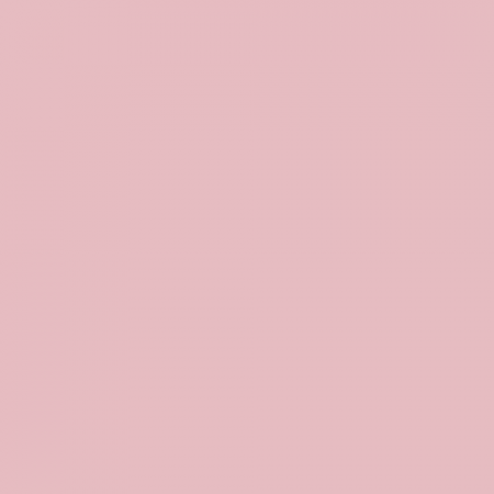 Краска Little Greene цвет NCS S 1020-R10B
