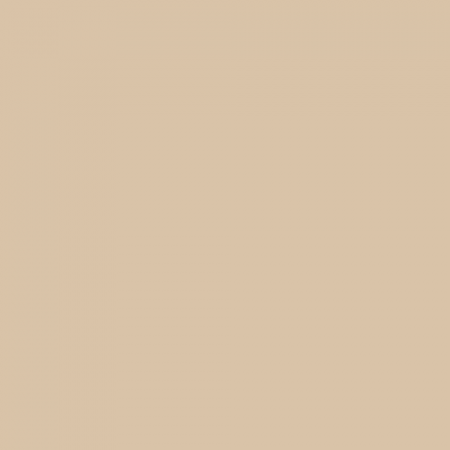 Краска Swiss Lake цвет Camel Wool NC10-0023