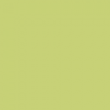 Краска Little Greene цвет NCS S 1040-G60Y